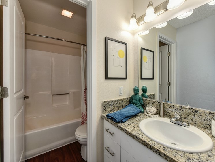 Bathroom with Granite Counters, Bathrub, Sink and Vanity